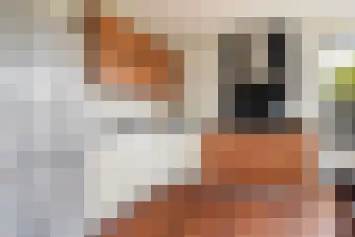Kuipersweg 43 Buitenpost thumbnail 19