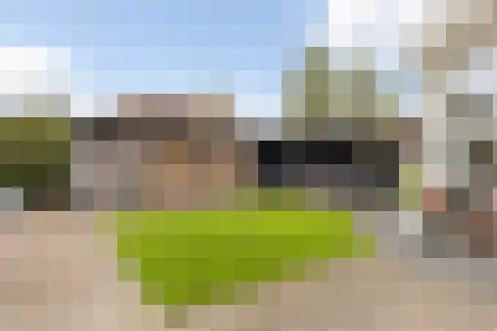 Kuipersweg 43 Buitenpost thumbnail 30