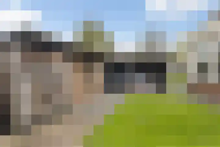 Kuipersweg 43 Buitenpost thumbnail 32