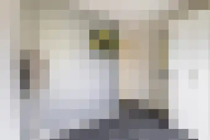 Kuipersweg 43 Buitenpost thumbnail 38