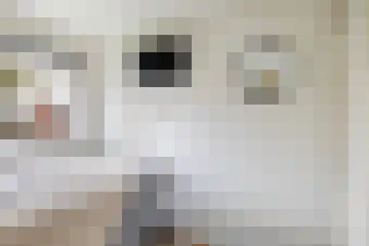 Kuipersweg 43 Buitenpost thumbnail 42