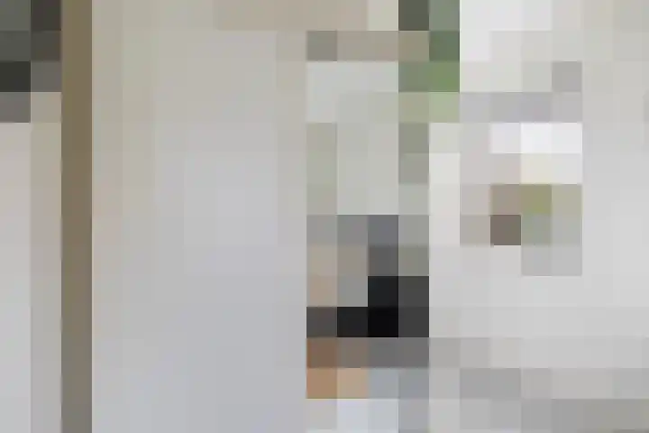 Kuipersweg 43 Buitenpost thumbnail 43