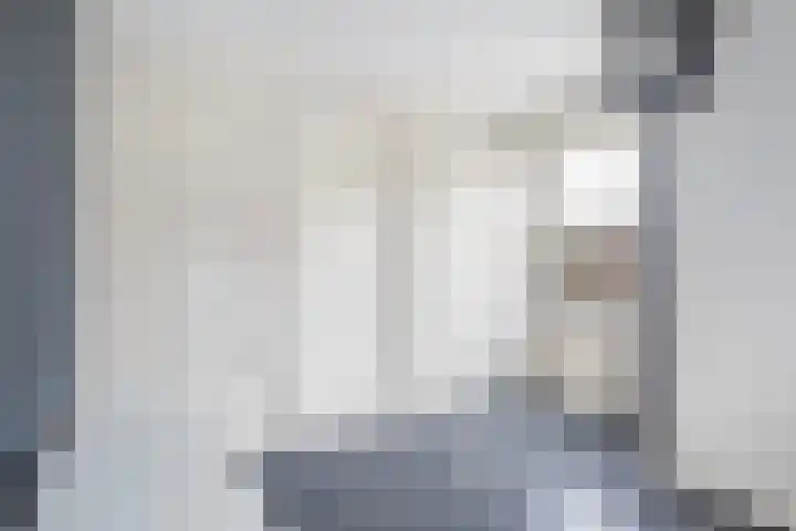 Kuipersweg 43 Buitenpost thumbnail 46