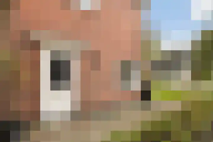 Kuipersweg 43 Buitenpost thumbnail 5