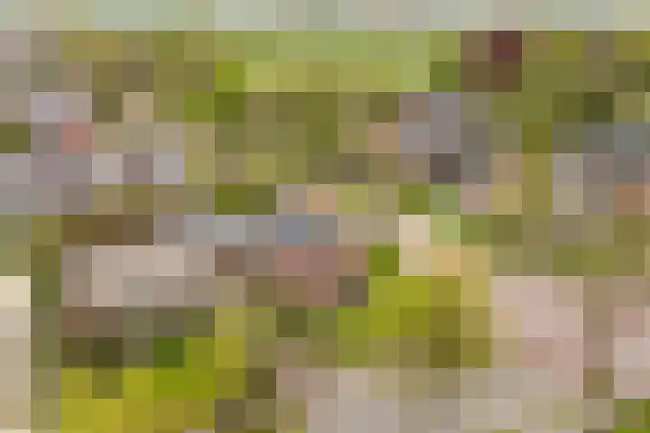 Kuipersweg 43 Buitenpost thumbnail 62