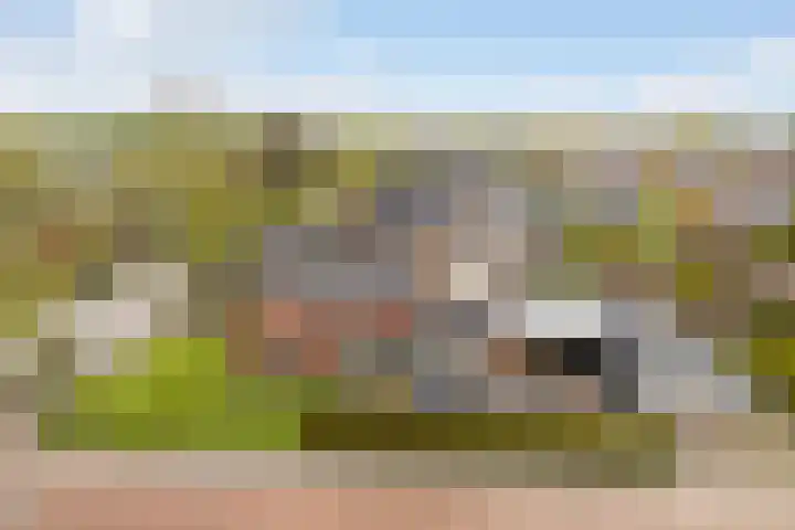 Kuipersweg 43 Buitenpost thumbnail 64