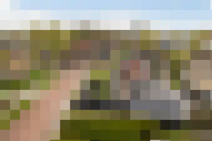 Kuipersweg 43 Buitenpost thumbnail 65