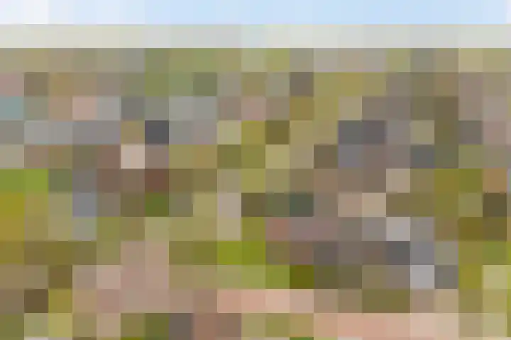 Kuipersweg 43 Buitenpost thumbnail 66
