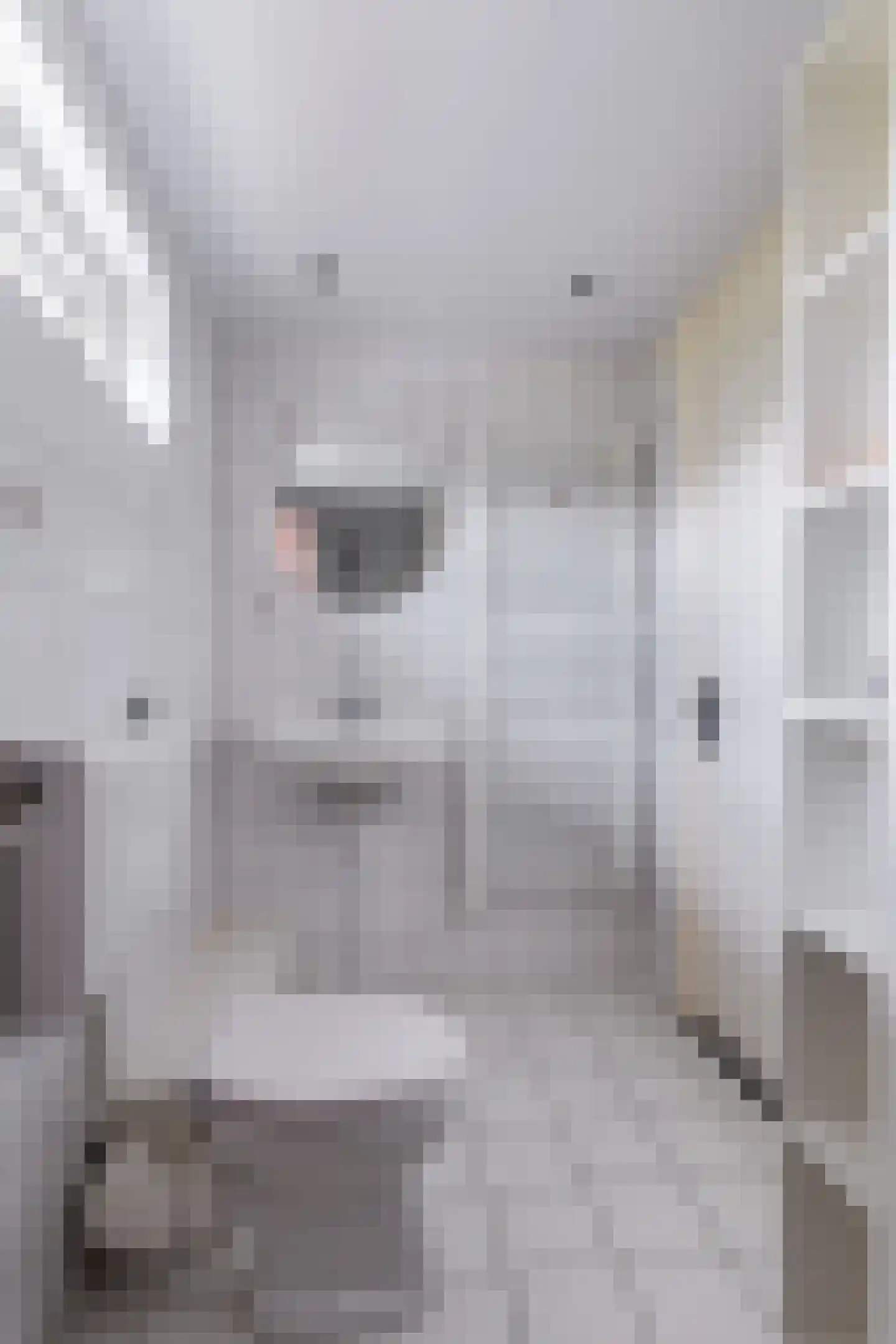 Kuipersweg 46 A Buitenpost thumbnail 39