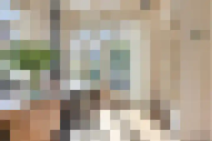 Kuipersweg 58 Buitenpost thumbnail 10