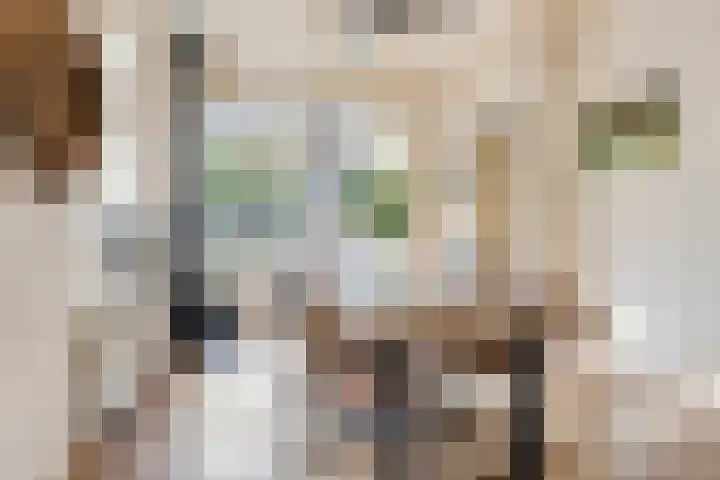 Kuipersweg 58 Buitenpost thumbnail 11