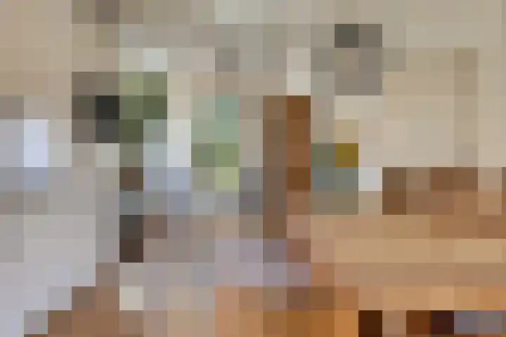 Kuipersweg 58 Buitenpost thumbnail 12