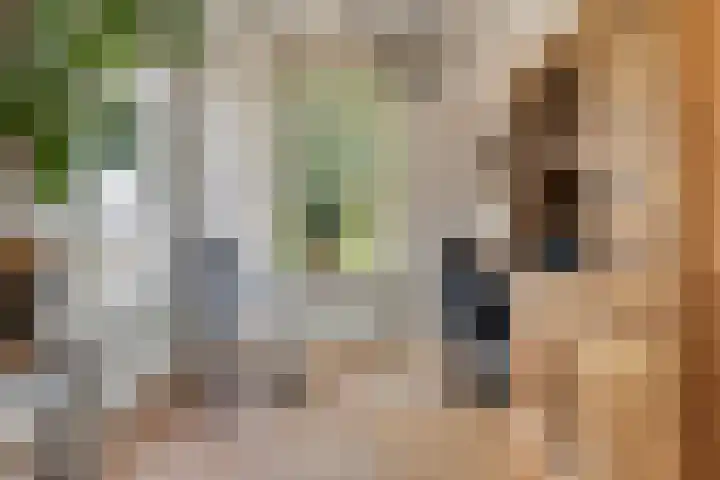 Kuipersweg 58 Buitenpost thumbnail 13