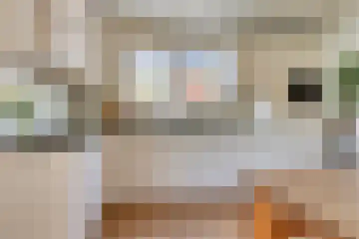 Kuipersweg 58 Buitenpost thumbnail 15