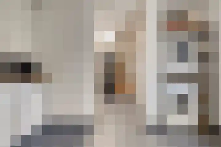 Kuipersweg 58 Buitenpost thumbnail 16