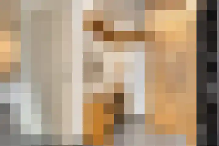 Kuipersweg 58 Buitenpost thumbnail 19