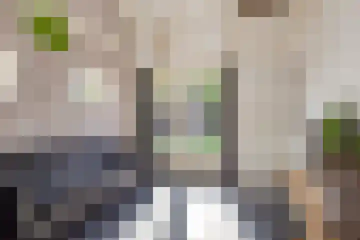Kuipersweg 58 Buitenpost thumbnail 21
