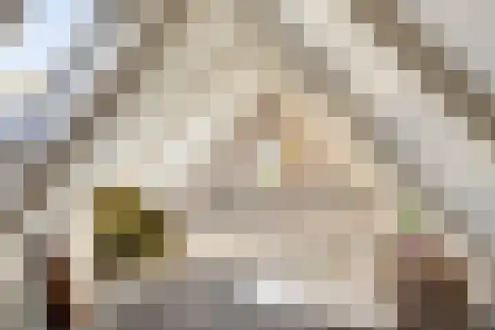 Kuipersweg 58 Buitenpost thumbnail 24