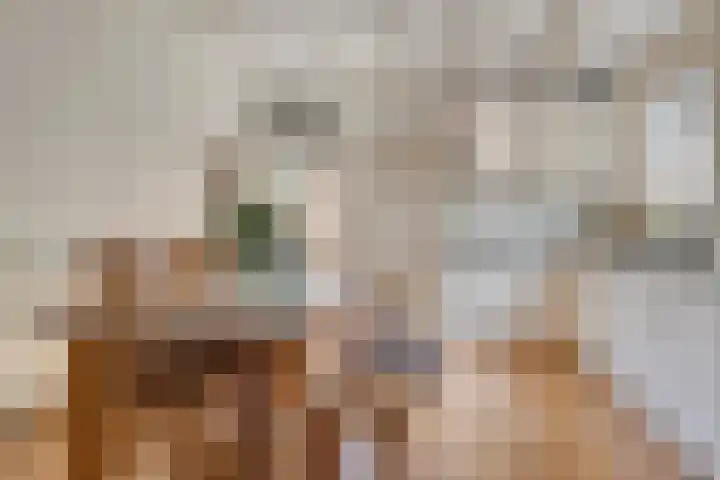 Kuipersweg 58 Buitenpost foto 3