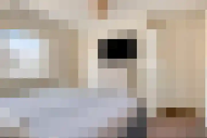 Kuipersweg 58 Buitenpost thumbnail 31