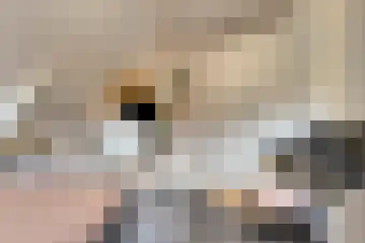 Kuipersweg 58 Buitenpost thumbnail 34