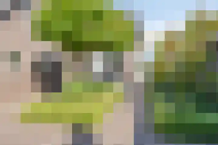 Kuipersweg 58 Buitenpost thumbnail 39