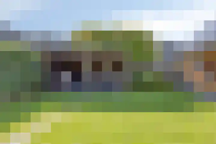 Kuipersweg 58 Buitenpost thumbnail 41