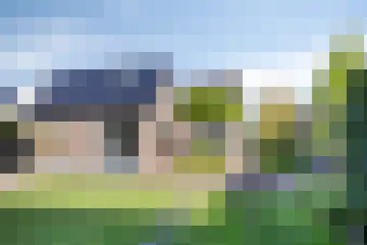 Kuipersweg 58 Buitenpost thumbnail 43