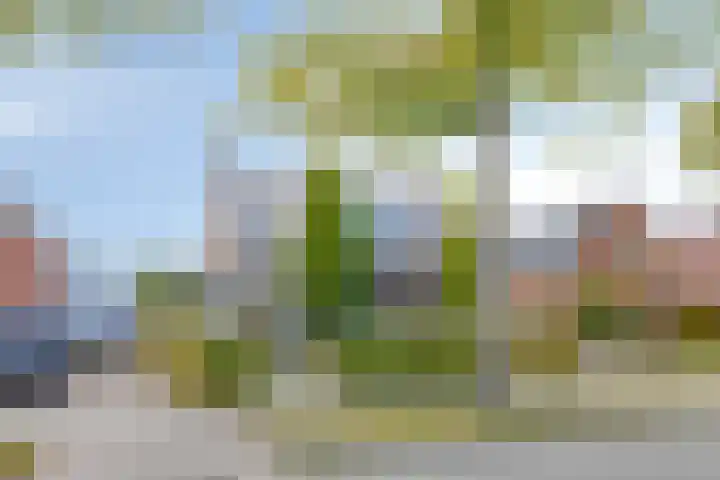 Kuipersweg 58 Buitenpost thumbnail 45
