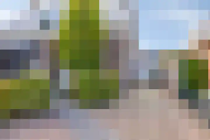 Kuipersweg 58 Buitenpost thumbnail 46