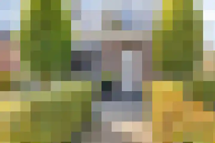 Kuipersweg 58 Buitenpost thumbnail 47