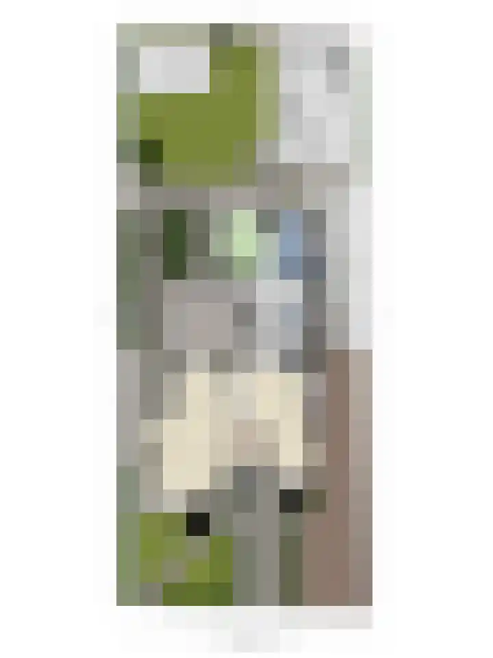 Kuipersweg 58 Buitenpost thumbnail 52