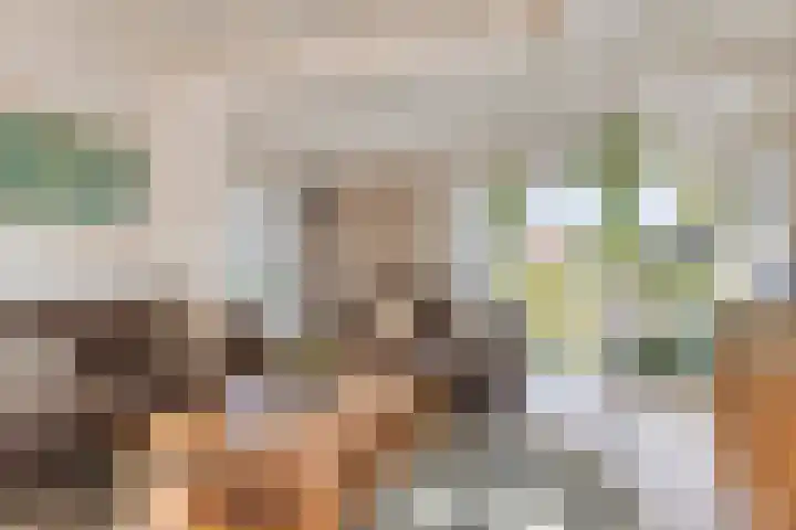 Kuipersweg 58 Buitenpost thumbnail 6