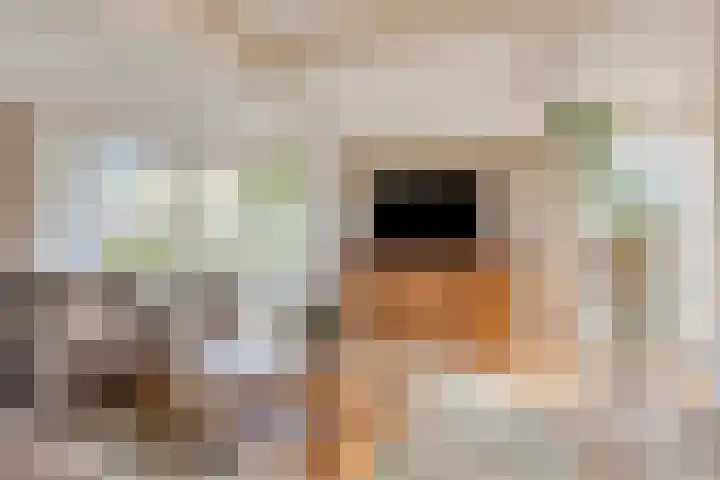 Kuipersweg 58 Buitenpost thumbnail 7