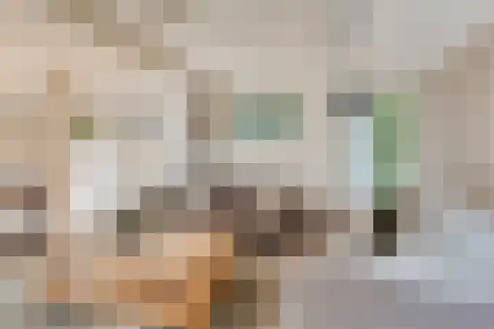Kuipersweg 58 Buitenpost thumbnail 8