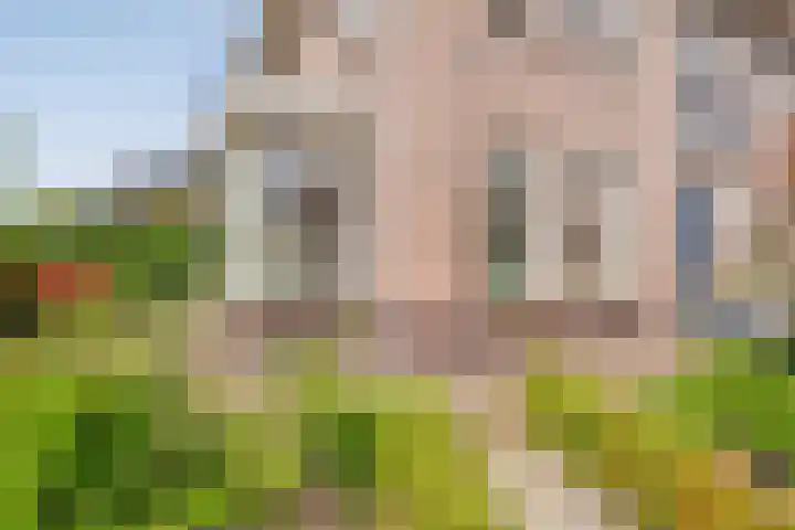 Kuipersweg 58 Dalfsen thumbnail 10