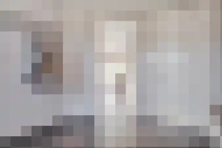 Kuipersweg 58 Dalfsen thumbnail 13