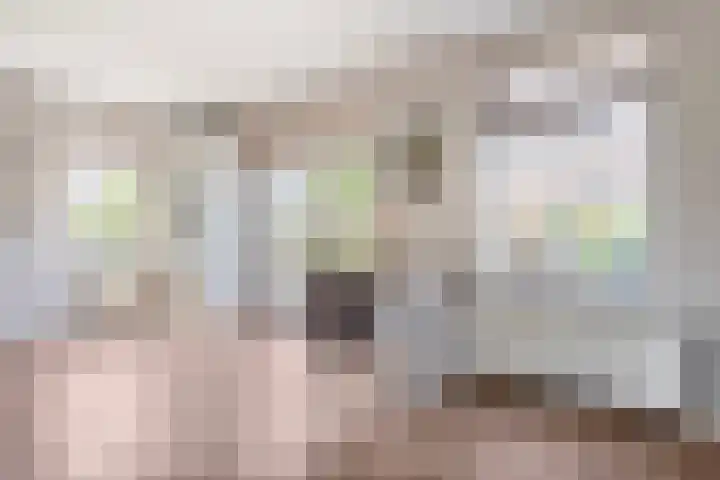 Kuipersweg 58 Dalfsen thumbnail 14