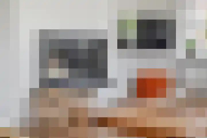Kuipersweg 58 Dalfsen thumbnail 17