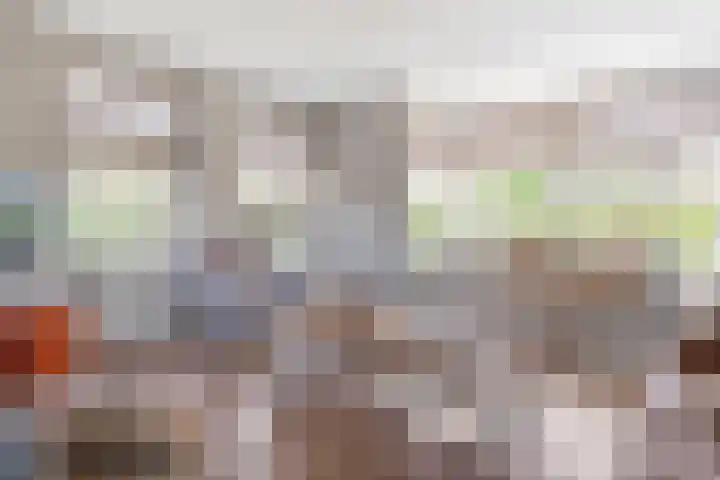 Kuipersweg 58 Dalfsen thumbnail 18