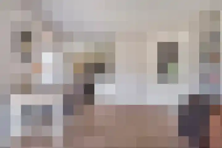 Kuipersweg 58 Dalfsen thumbnail 20