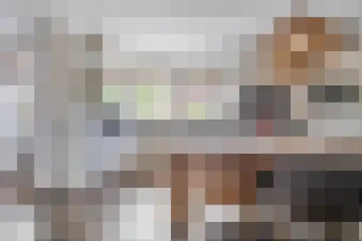 Kuipersweg 58 Dalfsen thumbnail 26