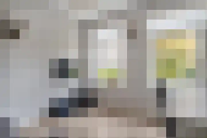 Kuipersweg 58 Dalfsen thumbnail 30