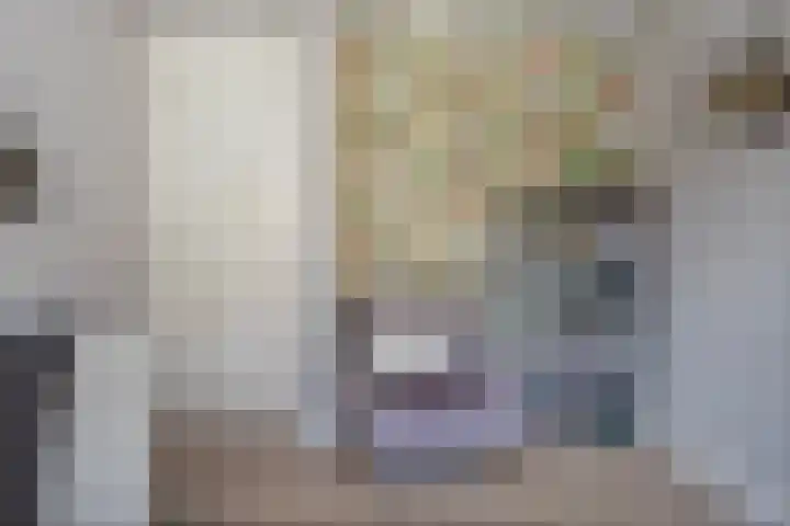 Kuipersweg 58 Dalfsen thumbnail 31