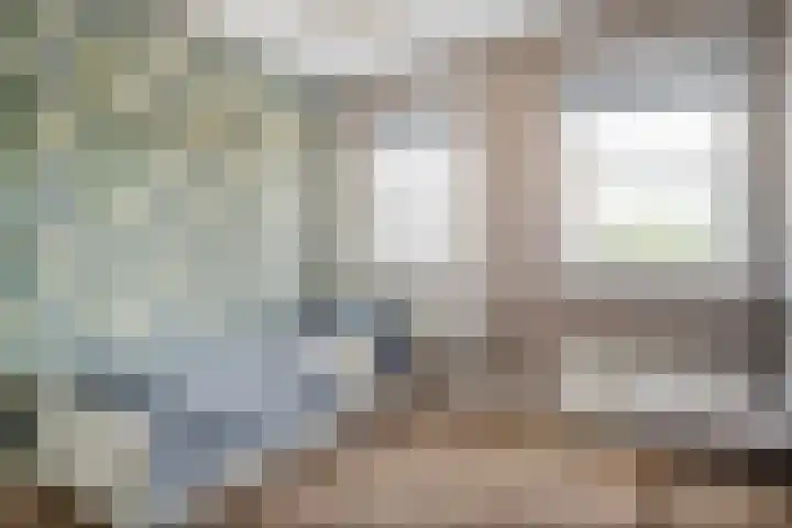 Kuipersweg 58 Dalfsen thumbnail 35