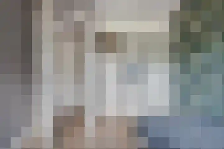 Kuipersweg 58 Dalfsen thumbnail 36