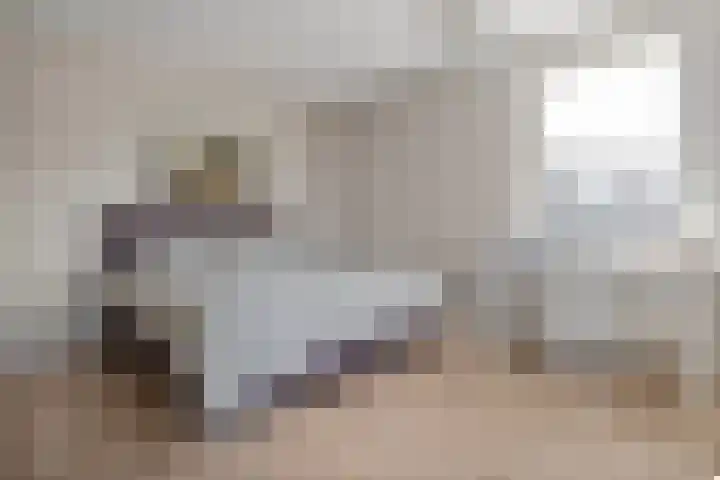 Kuipersweg 58 Dalfsen thumbnail 37