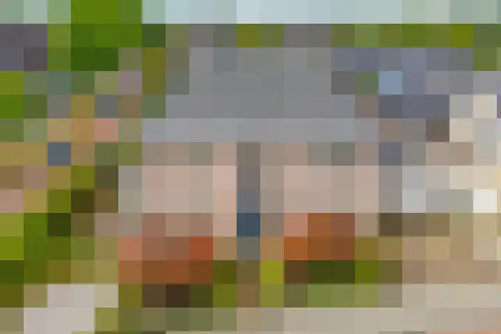Kuipersweg 58 Dalfsen thumbnail 4