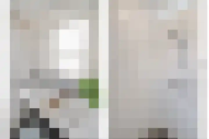Kuipersweg 58 Dalfsen thumbnail 41