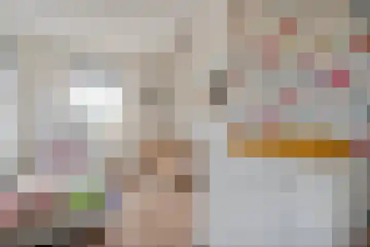 Kuipersweg 58 Dalfsen thumbnail 43